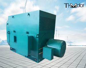 Wholesale Blast Blower AC Asynchronous HV Electric Motor High Voltage Electric Motors10KV 50HZ from china suppliers