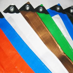 Wholesale White/Blue Color Plastic Waterproof Canvas Cover Sheet Heavy Duty PE Tarpaulin Fabric from china suppliers