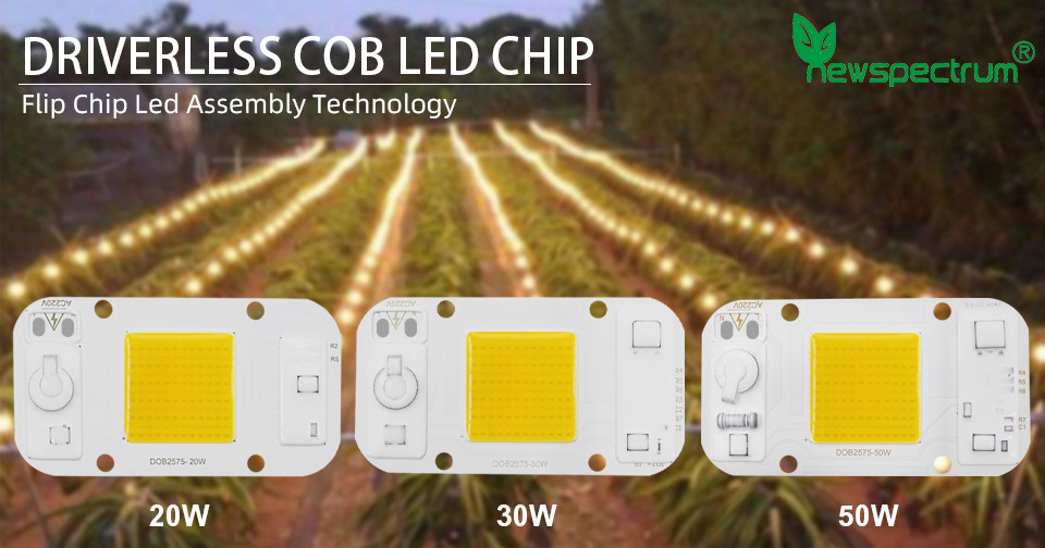 Driverless AC 50W LED Chip Flip Chip Cob Led For DIY Floodlight