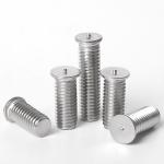 Rust Resistance Custom Made Stainless Steel Screw Heavy Duty