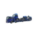 24hour Online Service ABS Ebs 2axle Vehicle Transport Truck Car Carrier Semi
