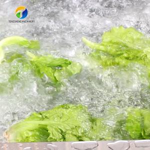 Wholesale 1000KG/H Fruit And Vegetable Processing Line Bubble Washing And Vibrating Drying from china suppliers