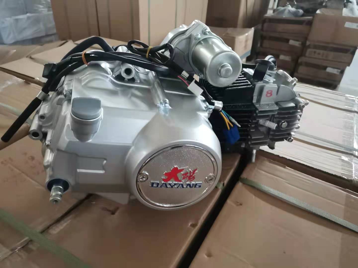 Chongqing Direct Supply Lifan DAYANG 125CC Air Cooling Engines Assembly for Tricycles