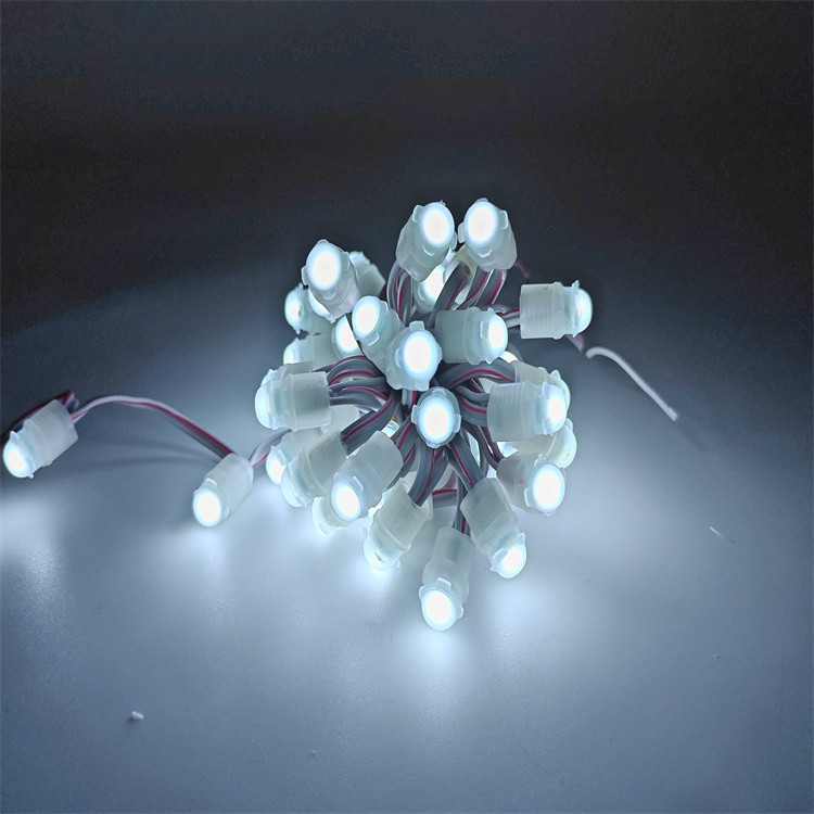 Good price IP67 Waterproof LED Pixel Light DC12V 0.2W with 30000 Hours Lifespan Outdoor Decoration Changeable