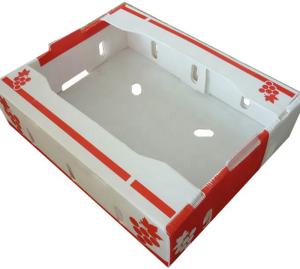 Wholesale Spinach Corrugated Plastic Produce Boxes 2mm Corflute Storage Boxes from china suppliers