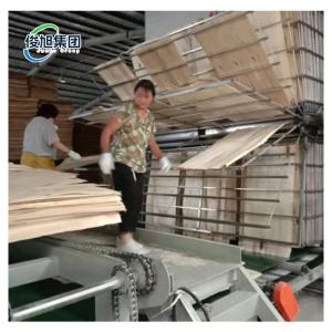 Wholesale Professional Solution Wood Veneer Drying Machine For Manufacturing Process from china suppliers