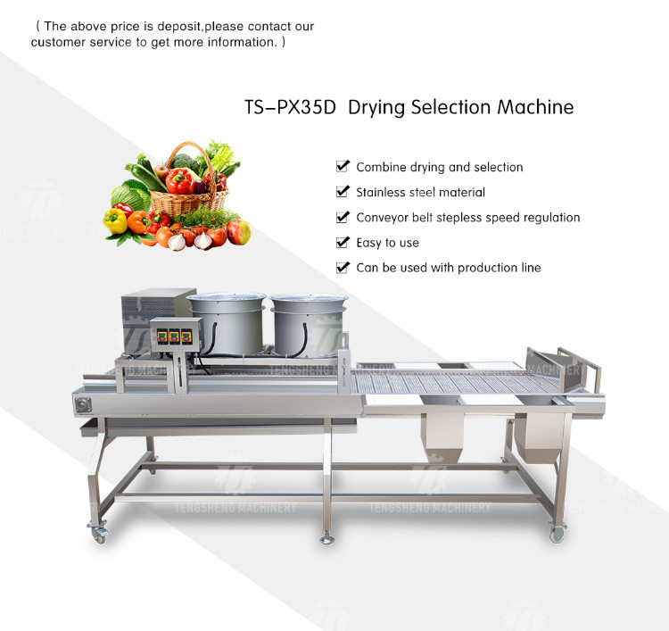 2KW Vegetable Processing Machine Stainless Steel Fruit Drying Selection Machine