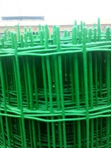 China 60×60 square hole wire mesh PVC coated holland wire mesh fence on sale