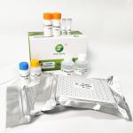 TGE Swine Transmissible Gastroenteritis Porcine Test Kit Antibody ELISA 192