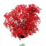 Colorful Dried Baby'S Breath Bouquet , Preserved Baby'S Breath For Gift