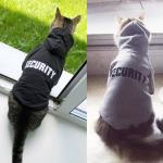 Eco Friendly Cute Cat Hoodie , Warm Pet Costumes For Small Dogs