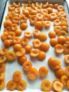 Wholesale China Canned Food Organic Canned Peeled Apricot Halves In Syrup from china suppliers