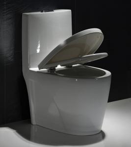 Wholesale Map1000 Dual-Flush Elongated One-Piece Toilet Seat Included Small Bathroom from china suppliers