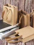 Customized Logo Paper Gift Bags Twisted Handle All Occasion Shoe / Clothing