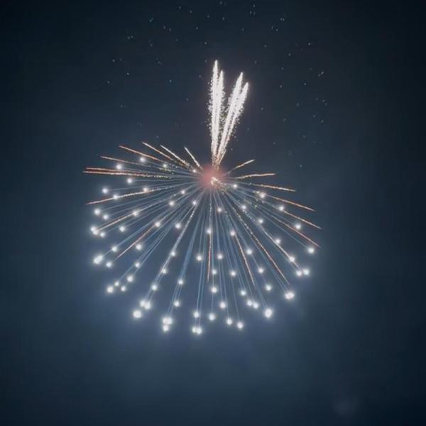 Chinese Factory 6'' Professional Display Fireworks Shell Pyrotechnics Supplies 1