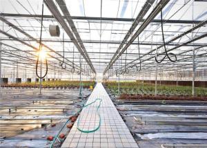 Wholesale 3 - 5m Gutter Height Hydroponic Greenhouse Great Heat Retaining Property from china suppliers