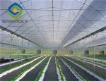 Anti Ultraviolet 6m Tomato Plastic Shed Film Greenhouse