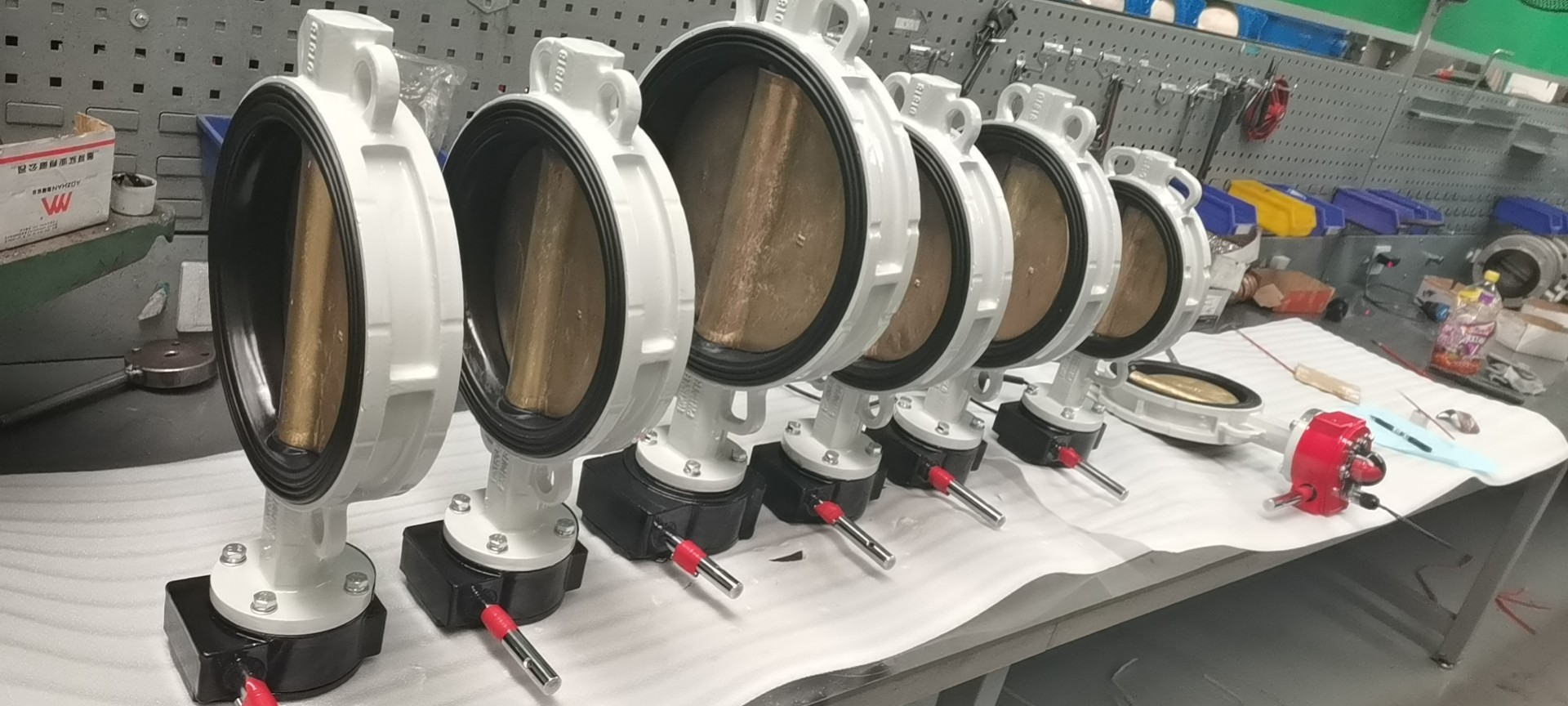 Double eccentric flanged butterfly valves