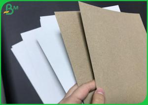 Wholesale Recyclable 140gsm 170gsm White Clay Coated Kraft Back Board For Paper Cup Holder from china suppliers