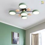 Used For Home/Hotel/Showroom LED Fashionable Atmosphere Ceiling Light