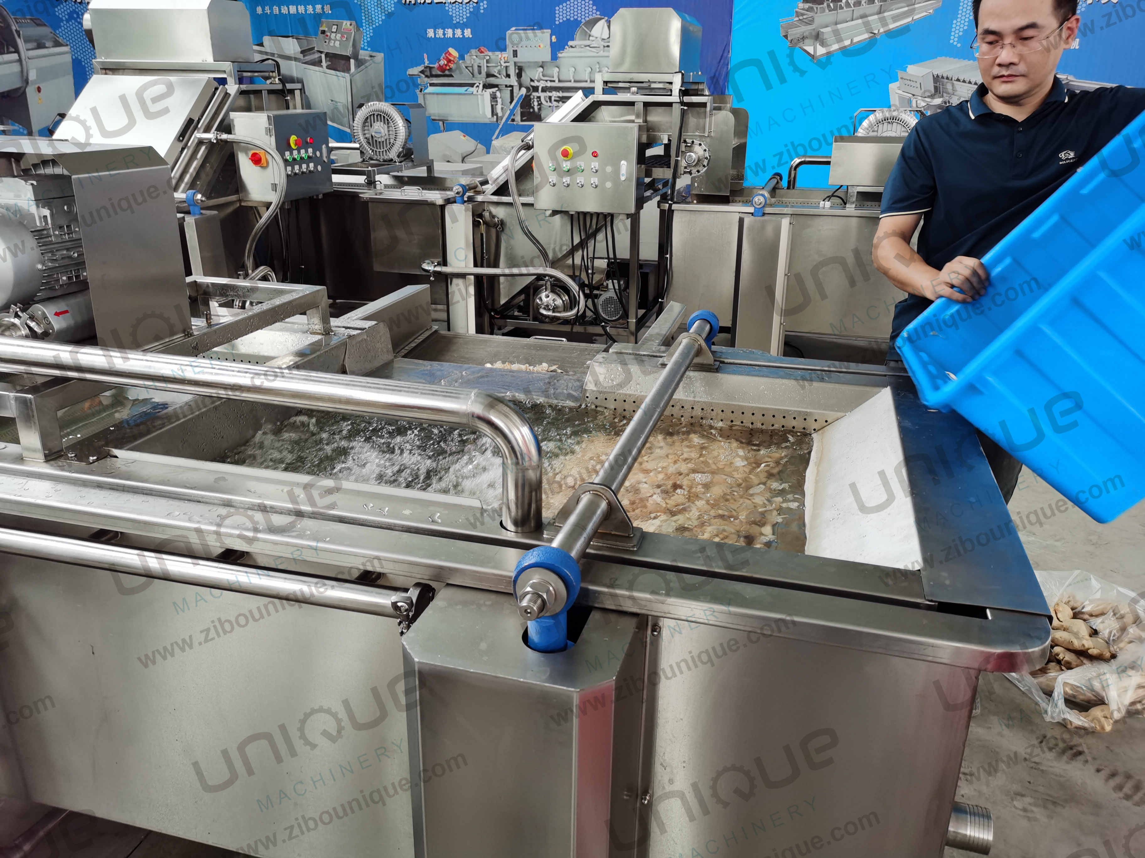850 KG Capacity Leaf Vegetable Bubble Washing Line for Manufacturing Plant Production