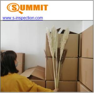 Wholesale Pampas Grass CE Pre Shipment Inspection Services from china suppliers