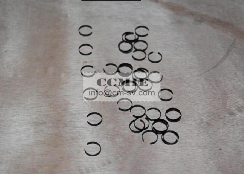 Smalley Retaining Ring Cummins Engine Parts with Carbon Steel / 302 316 Stainless Steel