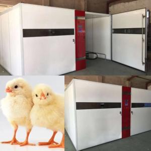 Wholesale LED Digital Display Chicken Hatching Machine 50kg from china suppliers