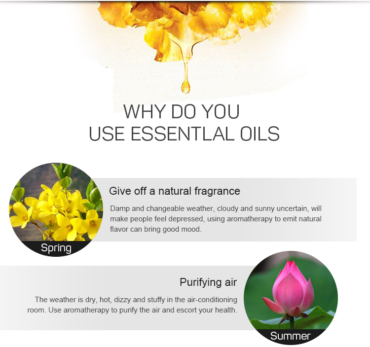 Hotel Natural Aromatherapy Oils / Electric Scent Diffuser Pure Aromatherapy Oils