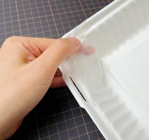 Wholesale 8 Inch Biodegradable Bagasse Tableware Sugarcane Laminated Food Containers from china suppliers