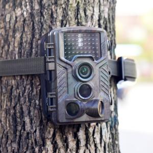 Wholesale High-tech Waterproof 12MP Scoutguard Trail Camera Hunting Night Vision Mini Camera Infrared Hunting Camera from china suppliers