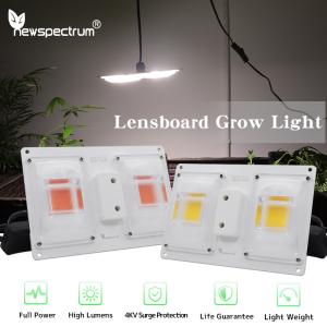 Wholesale Advanced Aluminum COB Grow Lights For Professional Cultivation from china suppliers