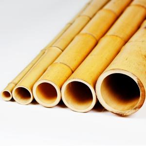 Wholesale Eco Friendly 3 Inch Moso Bamboo Pole Bamboo Stakes For Plant Decoration Yellow from china suppliers