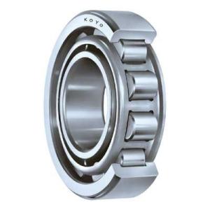 Wholesale Agricultural Machinery NJ2205V Cylindrical roller bearing 25*52*18mm from china suppliers