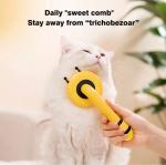 Wholesale Honey Bee Pet Grooming Brush Hair Cat Cleaning Comb For Pet Grooming
