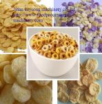 Industrial Puffed Rice Cake Machine , High Capacity Corn Flakes Production Line