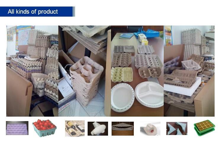 High-Performance Paper Pulp Molding Machine for Egg Tray Production with Computer Control and Low Energy Consumption