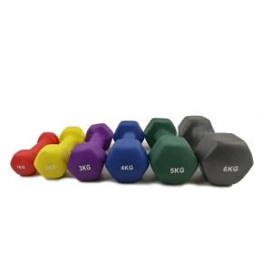 Wholesale Balance PVC REACH Fitness Neoprene Dumbbell Set With Stand from china suppliers