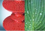 Silicone post Insulator for power Station