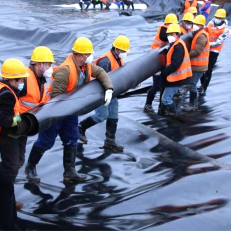 Length 50-200m HDPE Geomembrane for Aging Resistant Roof Seepage Control and Prevention