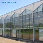 Commercial Glass Covered Venlo Style Greenhouse Anti Corrosion