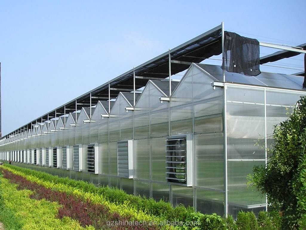 4m Bay Width Multi Span Greenhouse Agricultural Cover Material Super Strong Resistance