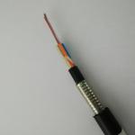 Double Sheath Armored 48 Cores GYTY53 Direct Burial Fiber Optic Cable