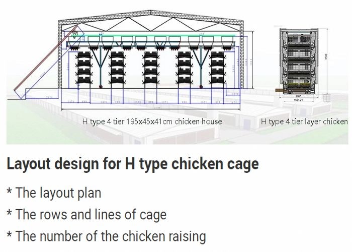 H Type Broiler Chicken Cage Full Automatic Chicken Layer Equipment