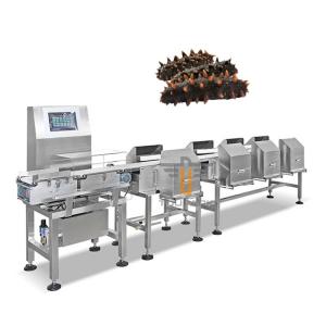 Wholesale Fish Shrimp Trepang Weight Sorting Machine Automatic Conveyor Belt Grader Sorter Machine from china suppliers