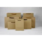 250g 300g Eco Friendly Paper Shopping Bag With Twised Handle