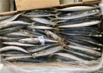90g 100g Decapterus Muroaji Small Eye Frozen Whole Mackerel