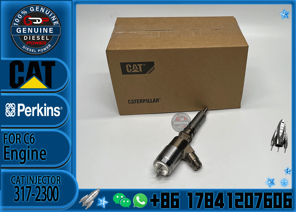 Common Rail C6 Diesel Engine Fuel Injector 317-2300 326-4700 295-9130 10R7675