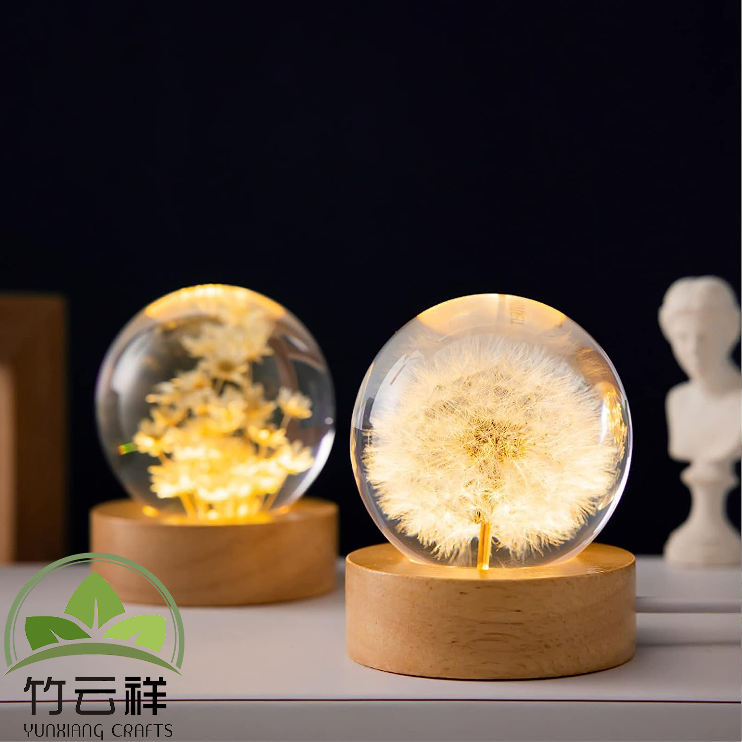 Customized Wooden Base Eternal Rose Preserved Rose in Beautiful Creative Design Strong Glass Dome Gift