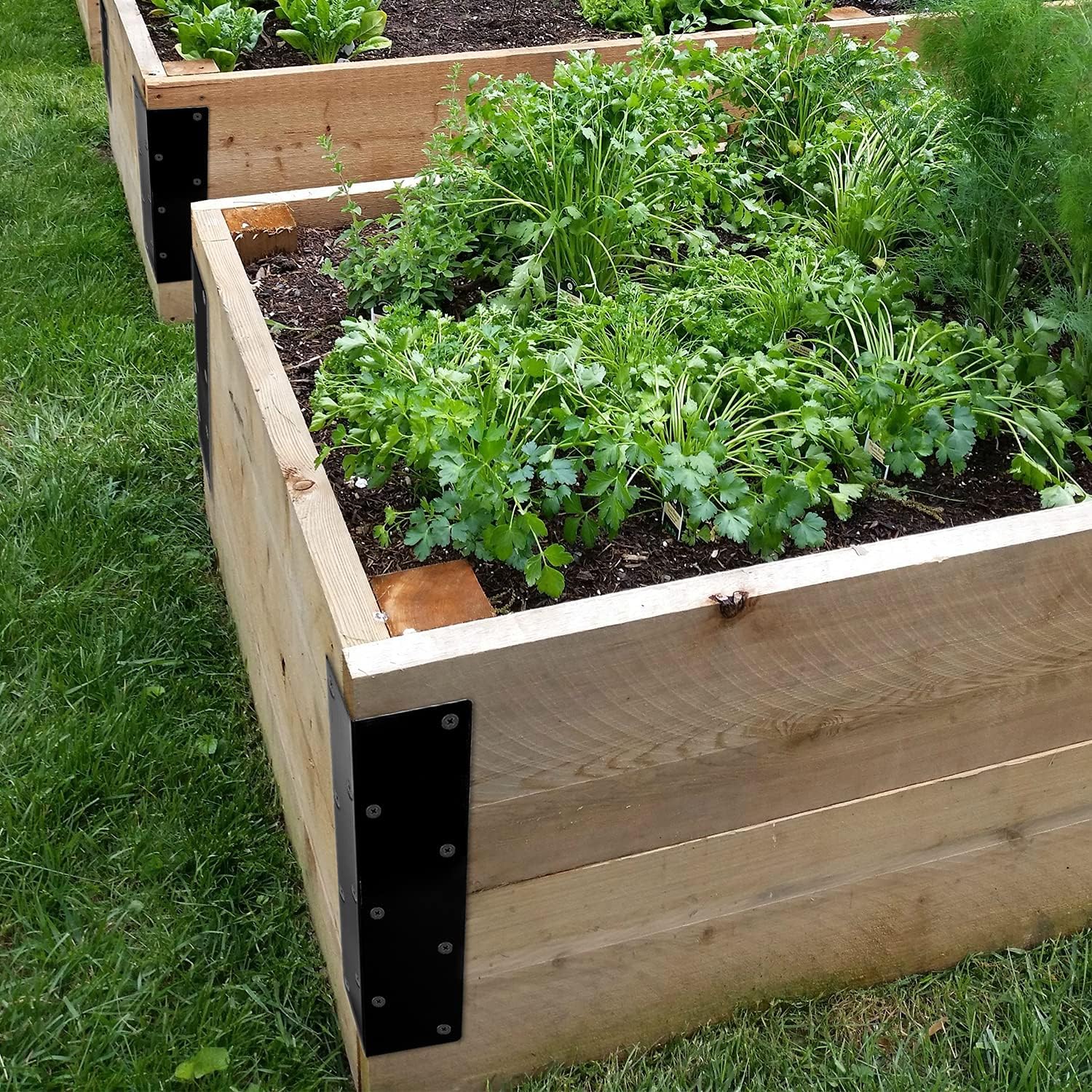Standard Raised Garden Bed Corner Brackets for 20-24 Inch Height Planting Solution